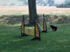 dorffest06_10