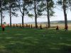dorffest06_8
