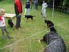 Welpentreff_2007_04