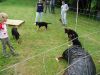 Welpentreff_2007_08