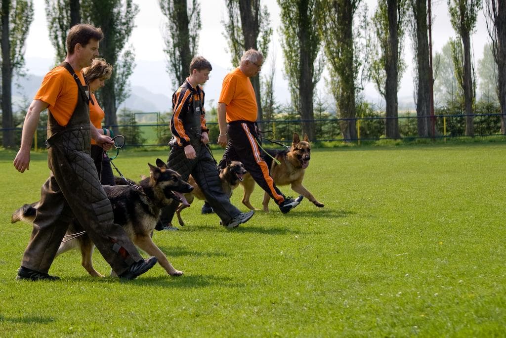 Archivbild: Maiveranstaltung 2009, Bild 12