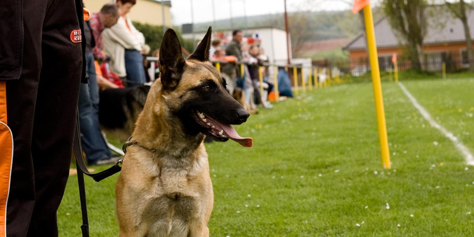 Bilder der Maiveranstaltung 2010