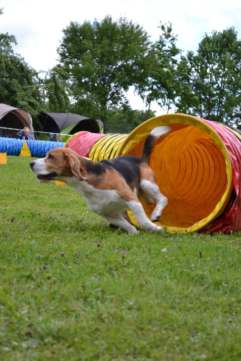 Kaufungen 18.07.2015