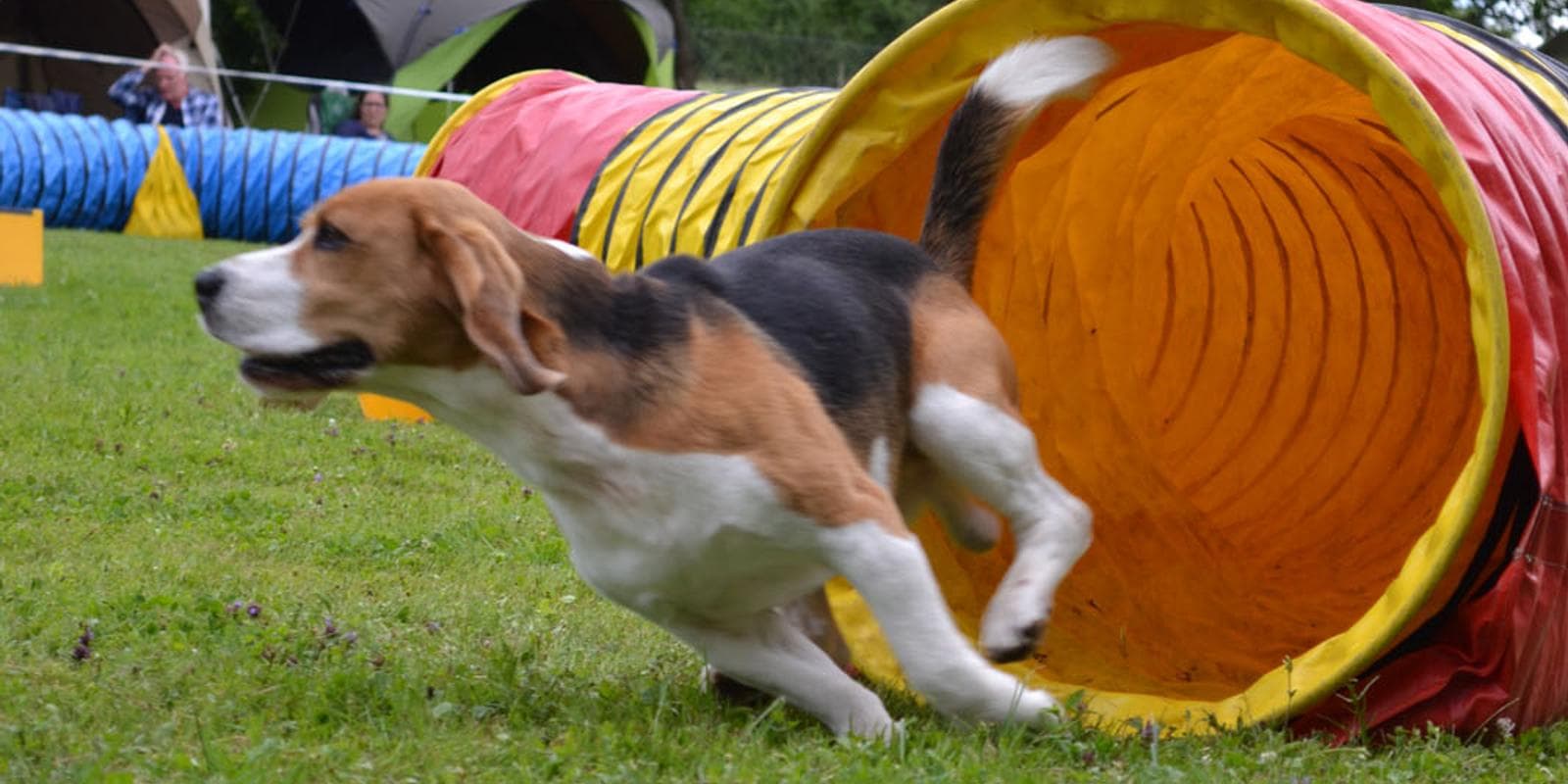 Hessisch Lichtenau 27.07.2015