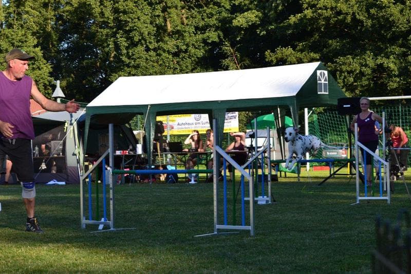 Rocket Dogs Walkenried – 3 Tagesturnier