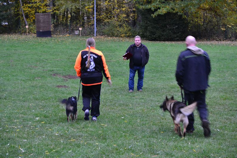 Herbstprüfung 29.10.2016