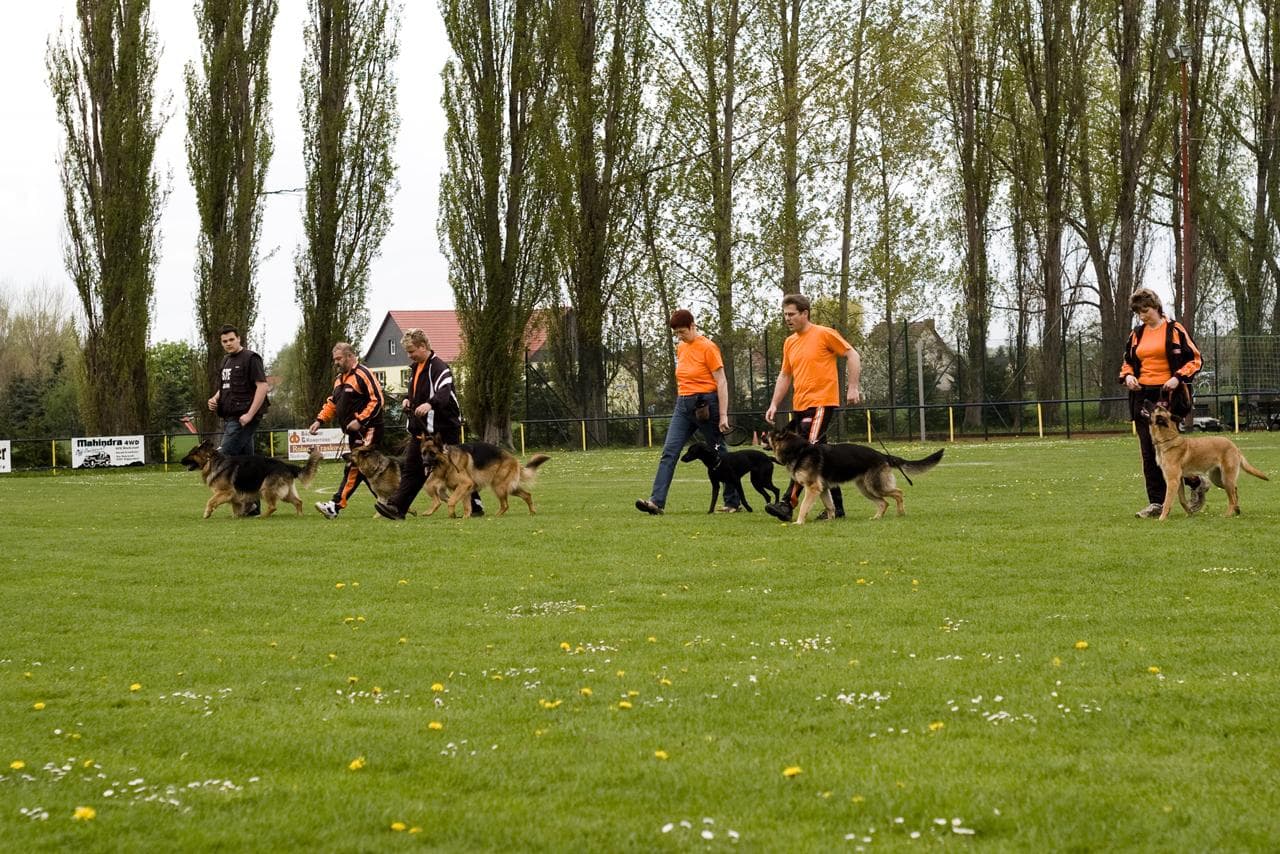 Archivbild: Maiveranstaltung 2010, Bild 04