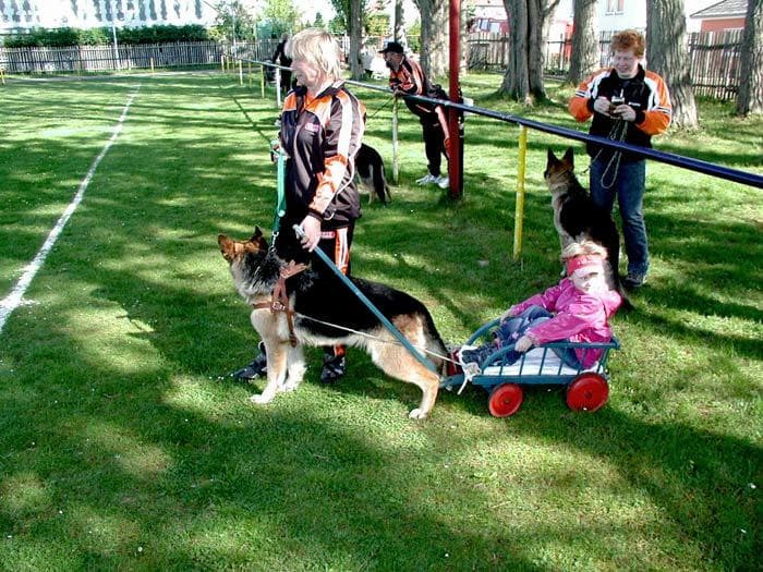 Archivbild: Maiveranstaltung 2007, Bild 09