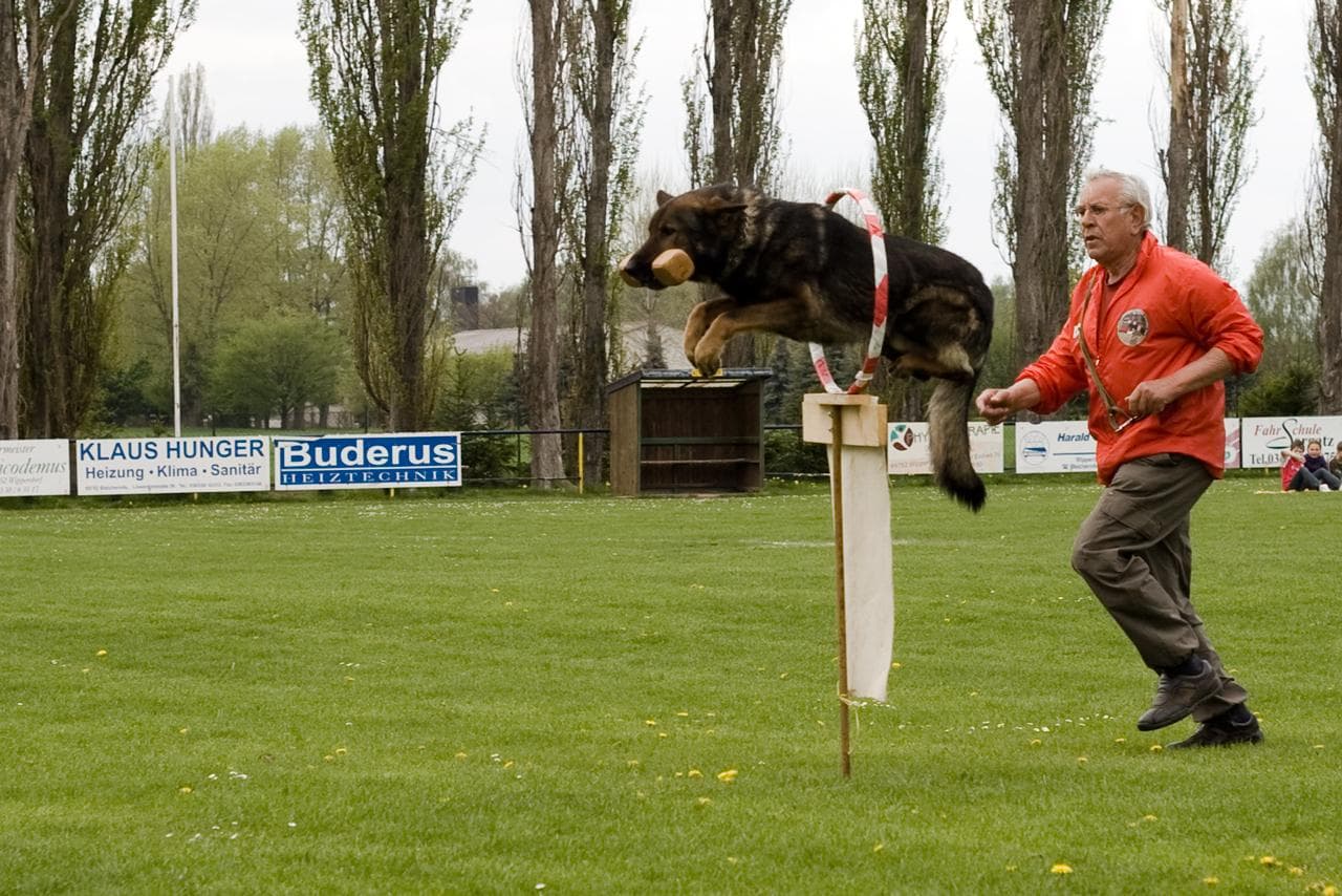 Archivbild: Maiveranstaltung 2010, Bild 07