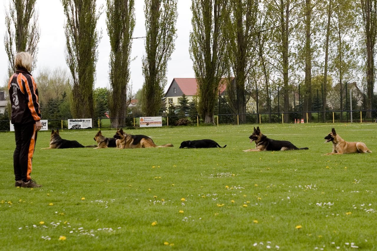 Archivbild: Maiveranstaltung 2010, Bild 08