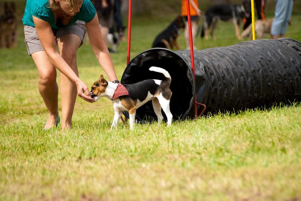 Archivbild: Dorffest 2009, Bild 03
