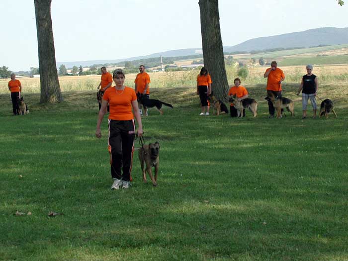 Archivbild: Dorffest 2006, Bild 11