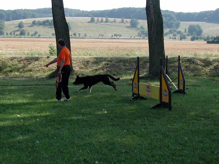 Archivbild: Dorffest 2006, Bild 09