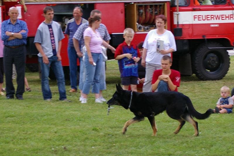 Archivbild: Dorffest 2008, Bild 05