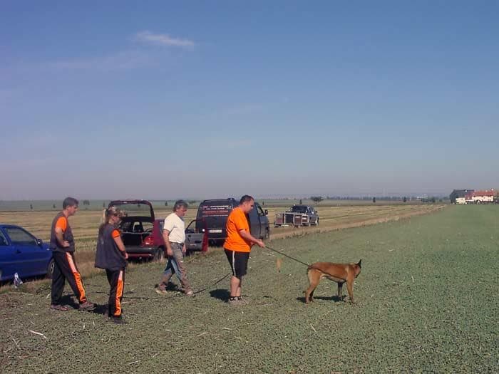 Hund und Hundeführer bei der Fährtenarbeit auf offenem Feld
