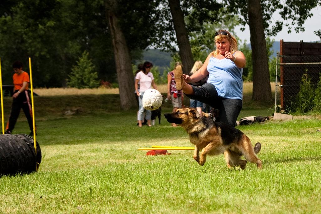 Archivbild: Dorffest 2009, Bild 09